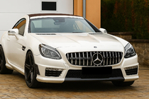 Mercedes SLK R172 2011–2016 GT Panamericana frontgrill foto 1