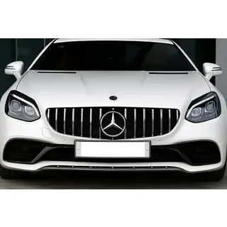 GT Panamericana frontgrill foto 4