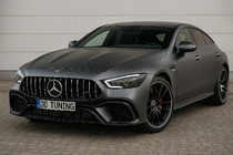 Mercedes AMG GT 4 X290 2018– GT Panamericana frontgrill (2018-2022) foto 1