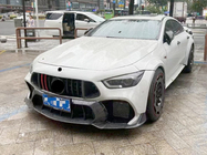 Mercedes AMG GT 4 X290 2018– Frontgrill GT Panamericana GT-R (2018-2022) foto 4
