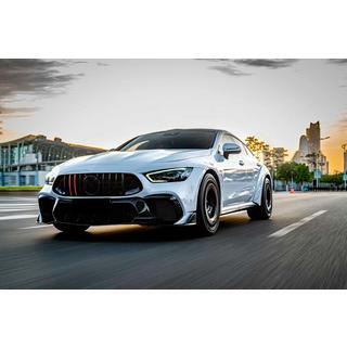 Frontgrill GT Panamericana GT-R (2018-2022) Mercedes AMG GT 4 X290 2018– foto 3
