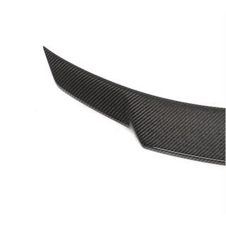 Spoiler V7 (SD, carbon) foto 2