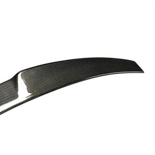 Spoiler V5 (til SD, carbon) foto 2