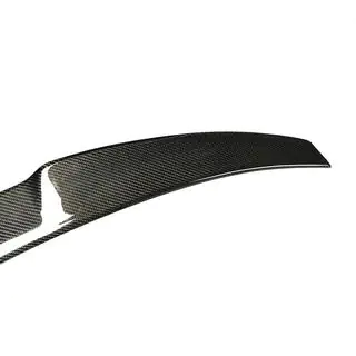 Spoiler V5 (til SD, carbon) foto 2
