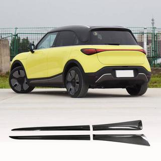 Sideskørter (Carbon) Smart 1 2022– foto 1