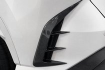 Lexus RX 2022– Bagkofangerbeskytter (kulfiber) foto 2