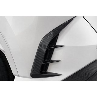Bagkofangerbeskytter (kulfiber) Lexus RX 2022– foto 2