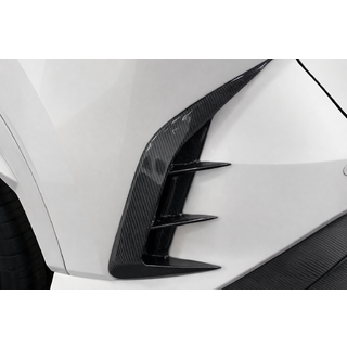 Bagkofangerbeskytter (kulfiber) Lexus RX 2022– foto 2
