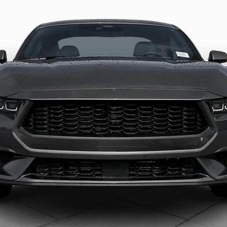 Kølergrill (til S650, carbon) foto 2