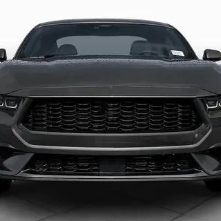 Kølergrill (til S650, carbon) foto 2