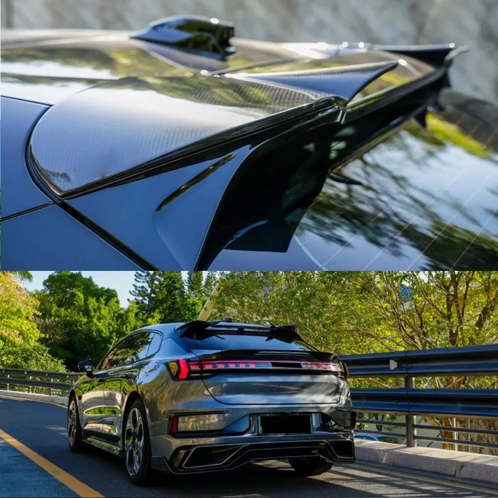 Spoilerbeklædninger (2021-2024, Carbon) foto 3
