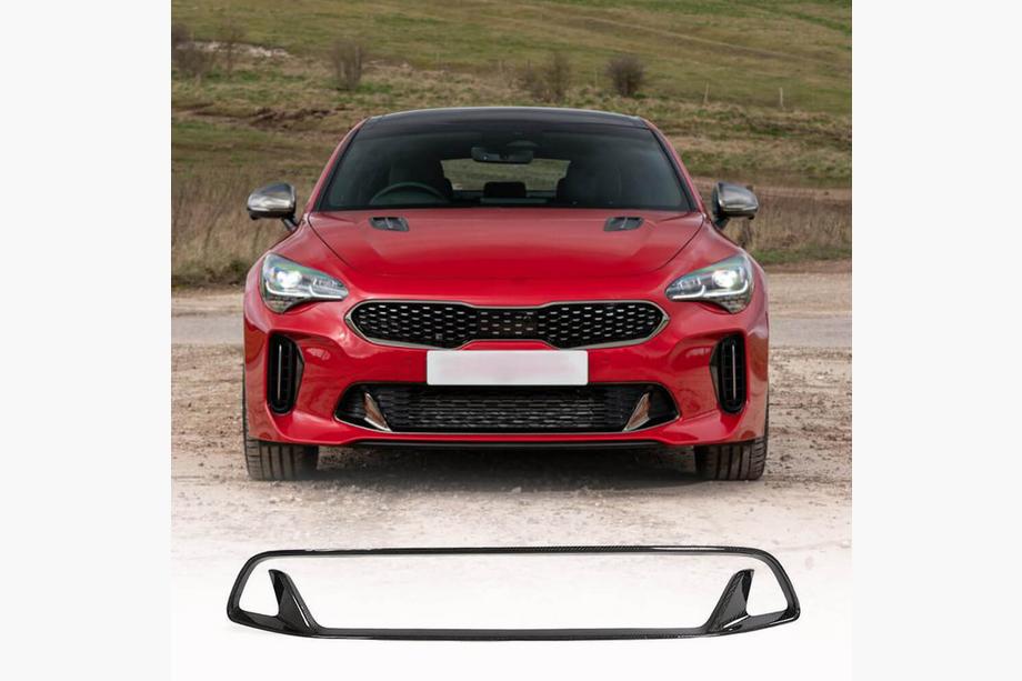 Kia Stinger 2017–2023 Kofangergrill (carbon) Image
