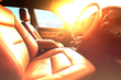 Det må du aldrig efterlade i bilen i sommervarmen foto 1