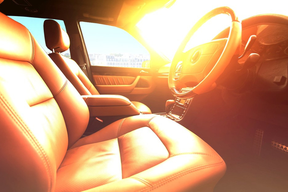 Det må du aldrig efterlade i bilen i sommervarmen