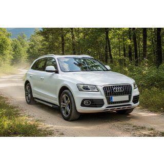 Duru sidetrin (2 stk., aluminium) Audi Q5 2008–2017 foto 1