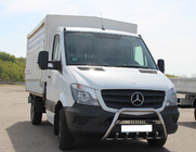 Mercedes Sprinter W906 2006–2018 Bullbar WT003 (rustfrit stål) 60 mm, med tekst foto 1