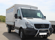 Mercedes Sprinter W906 2006–2018 Bullbar WT003 (rustfrit stål) 60 mm, med tekst foto 9