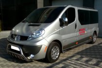 Opel Vivaro 2001–2015 Frontbøjle WT003-4 (rustfrit stål) Uden logo foto 11