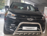 Chery Tiggo 7 2016–2019 Kængurugitter WT003 (rustfrit stål) foto 2