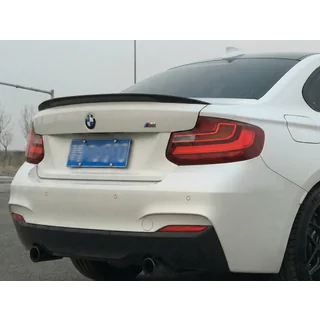 P-Style spoiler (til F22, blank sort)