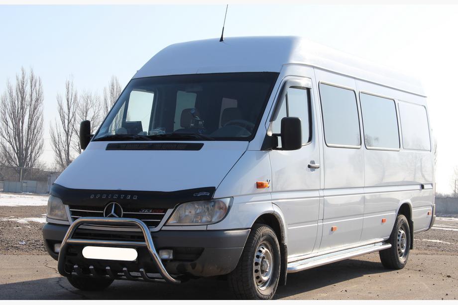 Mercedes Sprinter W901/902/903/904/905 1995–2006 Bullbar WT003 (rustfrit stål) 1995-2000 Foto 4