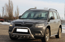 Skoda Yeti 2009–2017 Kængurugitter WT003 (rustfrit stål) foto 3