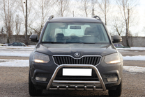 Skoda Yeti 2009–2017 Kængurugitter WT003 (rustfrit stål) foto 1