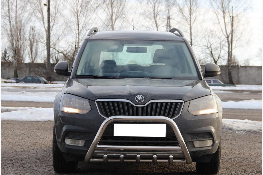 Skoda Yeti 2009–2017 Kængurugitter WT003 (rustfrit stål) Image