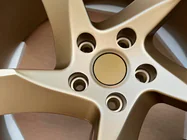 Ferrari 488 GTB 2015–2019 Smedede OEM fælge R20 V5 (4 stk.) foto 9