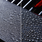 Keramisk beskyttelsescoating til bilens lak 235 ml SONAX PROFILINE Ceramic Coating CC Evo foto 11