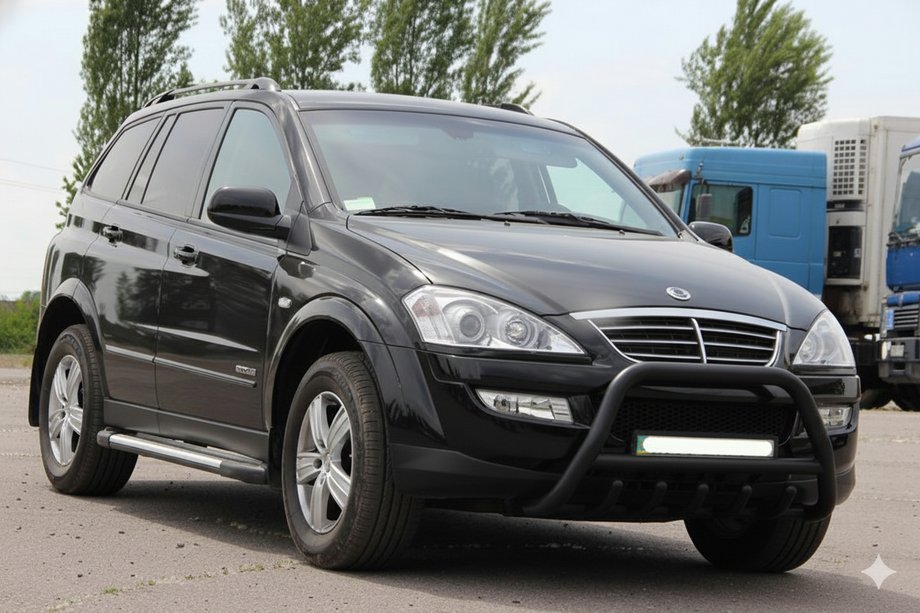 SsangYong Action 2005–2018 Bullbar WT003 Black (rustfrit stål) Image