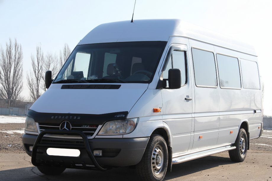 Mercedes Sprinter W901/902/903/904/905 1995–2006 Kængurubøjle WT003 Black (rustfrit stål) 1995-2000 Image