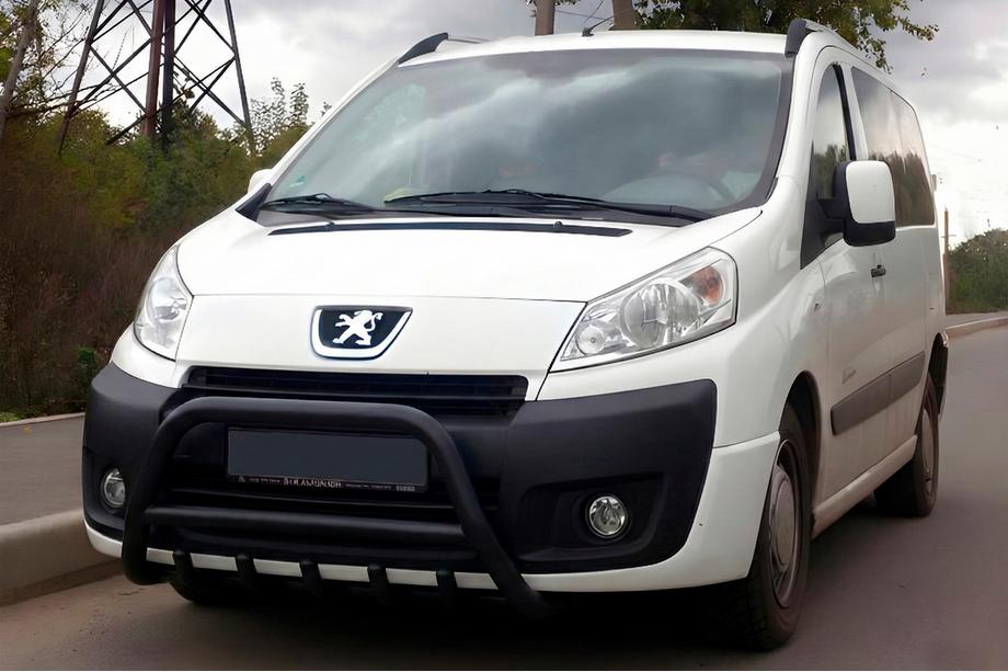Citroen Jumpy 2007–2017 Bullbar WT003 Black (rustfrit stål) Image