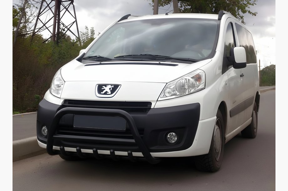 Citroen Jumpy 2007–2017 Bullbar WT003 Black (rustfrit stål) Image