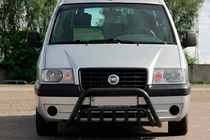 Citroen Jumpy 1996–2007 Kængurubøjle WT002 Black (rostfrit stål) foto 1