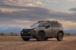 Test af Toyota RAV4 Woodland: eventyr-crossover med hybrid foto 1
