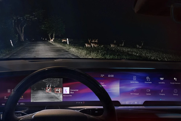 Sådan fungerer nattesyn i bilen