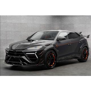 MNSR Carbon bodykit-sæt (til SE 2024+, smedet kulfiber) foto 1