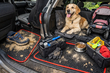 Børn, hund, daglige ture: beskyt kabinen mod sand og hår – EVA-måtter er №1 foto 1