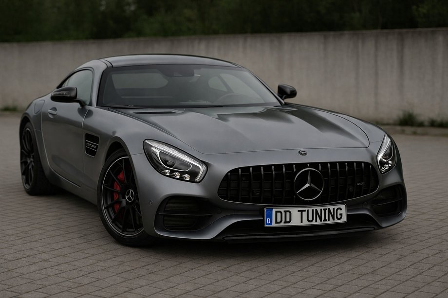 Mercedes AMG GT C190/R190 2014–2022 Frontgrill GT Panamericana Black (2014-2017) Image