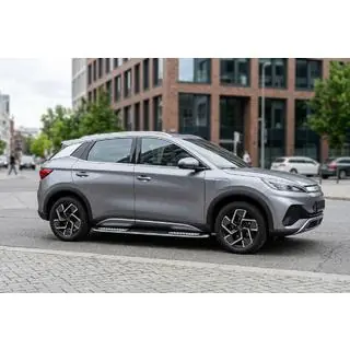 Sidetrin Tayga V2 (2 stk., aluminium) foto 1