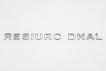 Toyota Land Cruiser logo/tekst (60 x 3 cm) foto 1