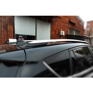 Tagrælinger grå OEM (aluminium) foto 3