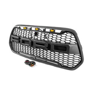 Kølergrill 2013-2018 (OffRoad) Ford Custom 2013–2022 foto 2