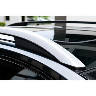 Tagrælinger grå OEM (aluminium) foto 1