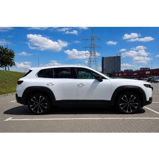 OEM tagrælinger, grå (aluminium, limmontering) foto 1
