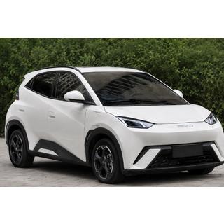 OEM tagrælinger sorte (ABS-plast, montering med lim) BYD Dolphin 2025–
