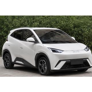 OEM tagrælinger grå (ABS-plast, montering med lim) BYD Dolphin 2025–