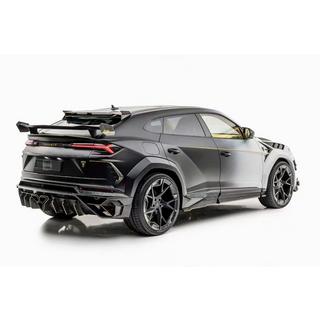 MNSR DRY Carbon bodykit-sæt med udstødningssystem (til 2018-2022) foto 3