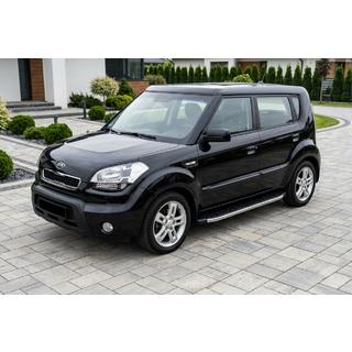 BlackLine sidetrin (2 stk., aluminium) foto 1